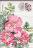 SUEDE Carte Maximum Num.yvert 1807 ROSE FLEURS - Cartes-maximum (CM)