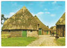 FERME , Chaumière / Groeten Uit Drente , Nederland; Cheval / Horse ; Chien / Dog; TB - Fattorie