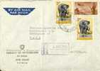 Luftpost Brief  New Dehli - Bern        1965 - Elefanten