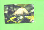 JERSEY - Magnetic Phonecard As Scan/Fungus - Jersey En Guernsey