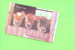 JERSEY - Magnetic Phonecard As Scan/Cows - Jersey En Guernsey