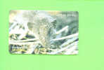 JERSEY - Magnetic Phonecard As Scan/Shrew - [ 7] Jersey Und Guernsey