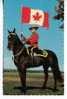 Greetings From Lloydminster Alberta-Saskatchewan Mountie With (fake) Canadian Flag On Horse - Other & Unclassified