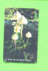 JERSEY - Magnetic Phonecard As Scan/Fungus - [ 7] Jersey Und Guernsey