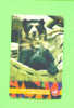 JERSEY - Magnetic Phonecard As Scan/Bear - Jersey En Guernsey