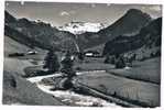 CH480   ADELBODEN : Wildstrubel U. Fitzer( Klopfenstein, Adelboden 7996 ) - Adelboden