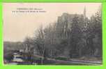 CHEMERE LE ROI - VUE DU CHATEAU ET DU MOULIN DE THEVALLES  - Carte Vierge - Water Mills