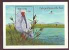 Sierra Leona Leone 1989 Birds  Oiseaux  Aves Crestes Ibis Expo 89 Sheet MNH - Cigognes & échassiers