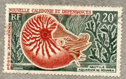 NOUVELLE-CALEDONIE  : Nautile (céphalopodes Tétrabranchiaux Marins) - Série Courante - Usados