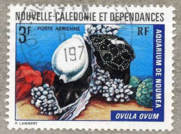 NOUVELLE-CALEDONIE  :   Aquarium De Nouméa : Ovula Ovum - Oblitérés