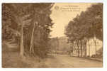 C9141 - Malmedy - Chaussée De Belle-Vue Ou Route De Waisme - Malmedy