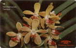 # SINGAPORE 11SIGB Orchis Series - Vandaenopsis Twinkle 10 Landis&gyr -fleurs,flowers-  Tres Bon Etat - Singapour