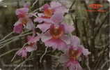 # SINGAPORE 11SIGA Orchis Series - Vanda Miss Jaoquim 10 Landis&gyr-fleurs,flowers -  Tres Bon Etat - Singapur