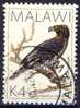 #Malawi 1988. Bird. Michel 515. Cancelled(o) - Malawi (1964-...)