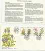 TRANSKEI -1981 - FDC - MEDICINAL PLANTS OF TRANSKEI )- WITH 4 STAMPS & INSIDE EXPLANATORY CARD - Transkei