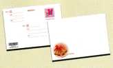 Taiwan Pre-stamp 2010 Christmas Postal Card Bell Postal Stationary - Postal Stationery