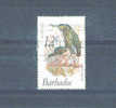 BARBADOS - 1979 Birds 12c FU - Barbados (1966-...)