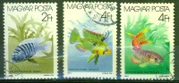 Poisson D'aquarium - HONGRIE - Pseudotropheus Zebra, Aphiosemion Multicolor, Papillochromis - N° 3088-3090-3091 - 1987 - Gebruikt