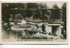 1948 Hand Coloured Real Photo PC Star Pond Butchart Gardens, Victoria BC. US Stamp Surcharge Taxe Due Nanaimo Postmark - Victoria