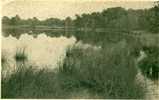 Brandeveen, Foto Eigen Opname 1942. Gelopen Van Baarn Naar Laren. 5 Cent Postzegel. - Andere & Zonder Classificatie