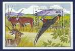 Tanzania 1991 Birds Oiseaux Aves Paradise Sheet MNH - Songbirds & Tree Dwellers