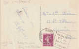 VARIETE DAGUIN (CAD ET FLAMME OPPOSES) - Temporary Postmarks