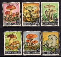 REPUBBLICA DI SAN MARINO 1967 FUNGHI MUSHROOMS CHAMPIGNONS PILZE HONGOS COGUMELOS SERIE COMPLETA COMPLETE SET USATA USED - Oblitérés