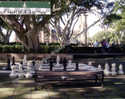 Hyde Park Sydney Giant Chess Board - Echec - Scacchi