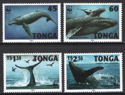 Tonga 1996 MiNr. 1400 - 1403  WWF Marine Mammals Humpback Whale 4v  MNH** 22,00 € - Baleines