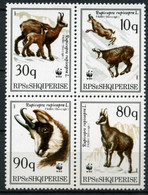 Albania 1990 MiNr. 2423 - 2426  Albanien ANIMALS WWF Chamois 4v  MNH** 6,00 € - Gibier