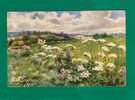 Raphaël TUCK & Son, Oilette, Shelton, Paysage Fleuri, Vaches, "Fragrant Meadows" N° 9613, Voyagé - Tuck, Raphael