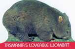 Australia Tasmania - Loveable Wombat Unused - Andere & Zonder Classificatie