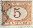 SI53D Italia Italy Segnatasse Regno Emesso Il 1870 / 1890 5 C. - Cifra Entro Un Ovale Usato - Gebraucht