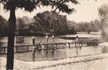 59. Nord  :  Le Quesnoy : La Piscine . - Le Quesnoy