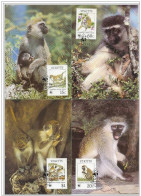 St. Kitts 1986 WWF W.W.F. Green Monkey MC Set Fauna Maximum Cards - Cartoline Maximum