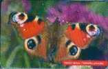 # SLOVAKIA 22_98 Babocka Pavooka Buterfly 50 Ods -butterfly,papillon-  Tres Bon Etat - Slovacchia