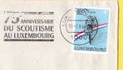 Flamme : 75°anniversaire Du Scoutisme Au Luxembourg (1989) - Maschinenstempel (EMA)