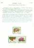 Folder Taiwan 1997 Woody Plants Flower Stamps Rhododendron Rose Mallow Hydrangea Hibiscus Flora - Nuevos