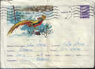 Romania-Postal Stationery Cover1963 Rare! -Golden Pheasant - Gallinaceans & Pheasants