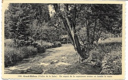 GRAND HALLEUX (6698) ( Vallée De La Salm ) Un Aspect De La Capricieuse Rivière - Vielsalm