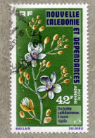 NOUVELLE-CALEDONIE  :  Orchidées : Eriaxis Rigida - Fleur - - Used Stamps