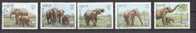 Delcampe - Laos Mi 1026-1030 Olifant / Eléphant / Elephant / Hafnia 87 - Eléphants