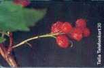 # SWEDEN 60111-263 Redcurrant 30 Orga 09.97 -fleurs,flowers- Tres Bon Etat - Suecia