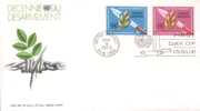 UN New York - FDC  (y306) - FDC