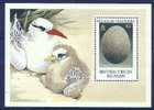 British Virgin  1990 Birds Oiseaux Aves Eggs Tern Tropicbird Sheet MNH - Albatros