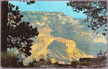 Grand Canyon - Arizona - Otros & Sin Clasificación