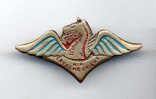 AIR EXTREME ORIENT - Luftwaffe