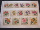 BURUNDI - 1966 FIORI 16v.-NUOVI(++)-TEMATICHE - Unused Stamps