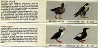 NORWAY/NORGE - 1981  BIRDS  BOOKLETS (2)   MINT NH - Libretti