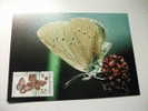 Annullo Speciale Maximum Butterfly Farfalla  Wwf Repubblica Ceca Maculinea Nausithous - Butterflies